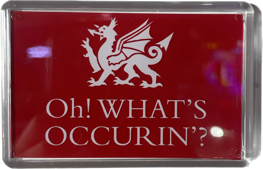 Oh What's Occuring dragon Fridge Magnet